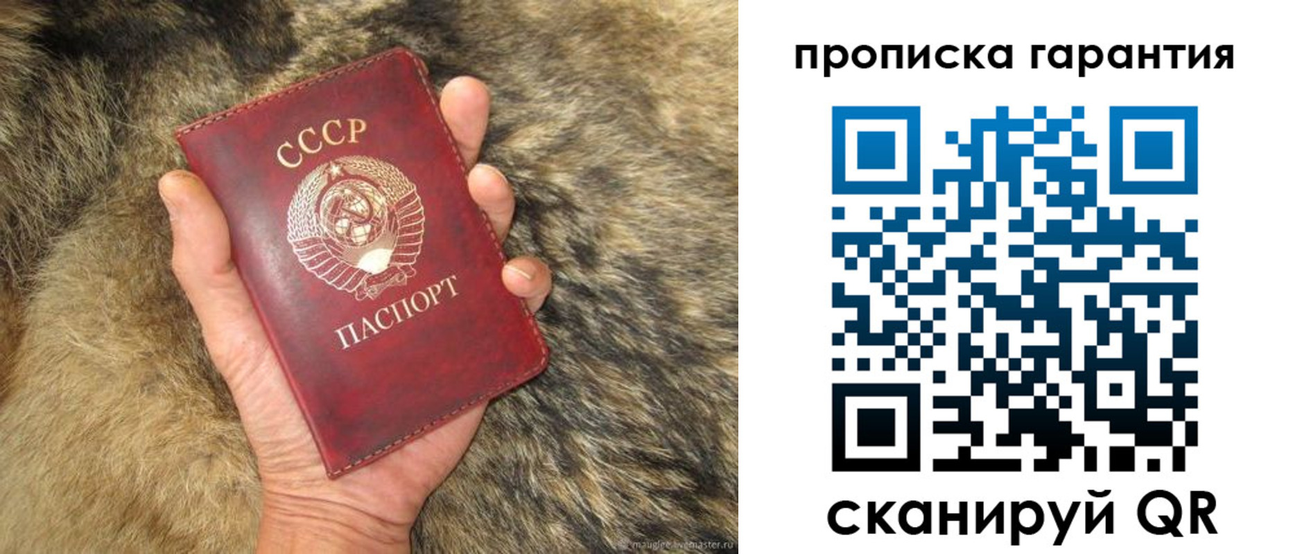 прописка паспорт в Оленегорске